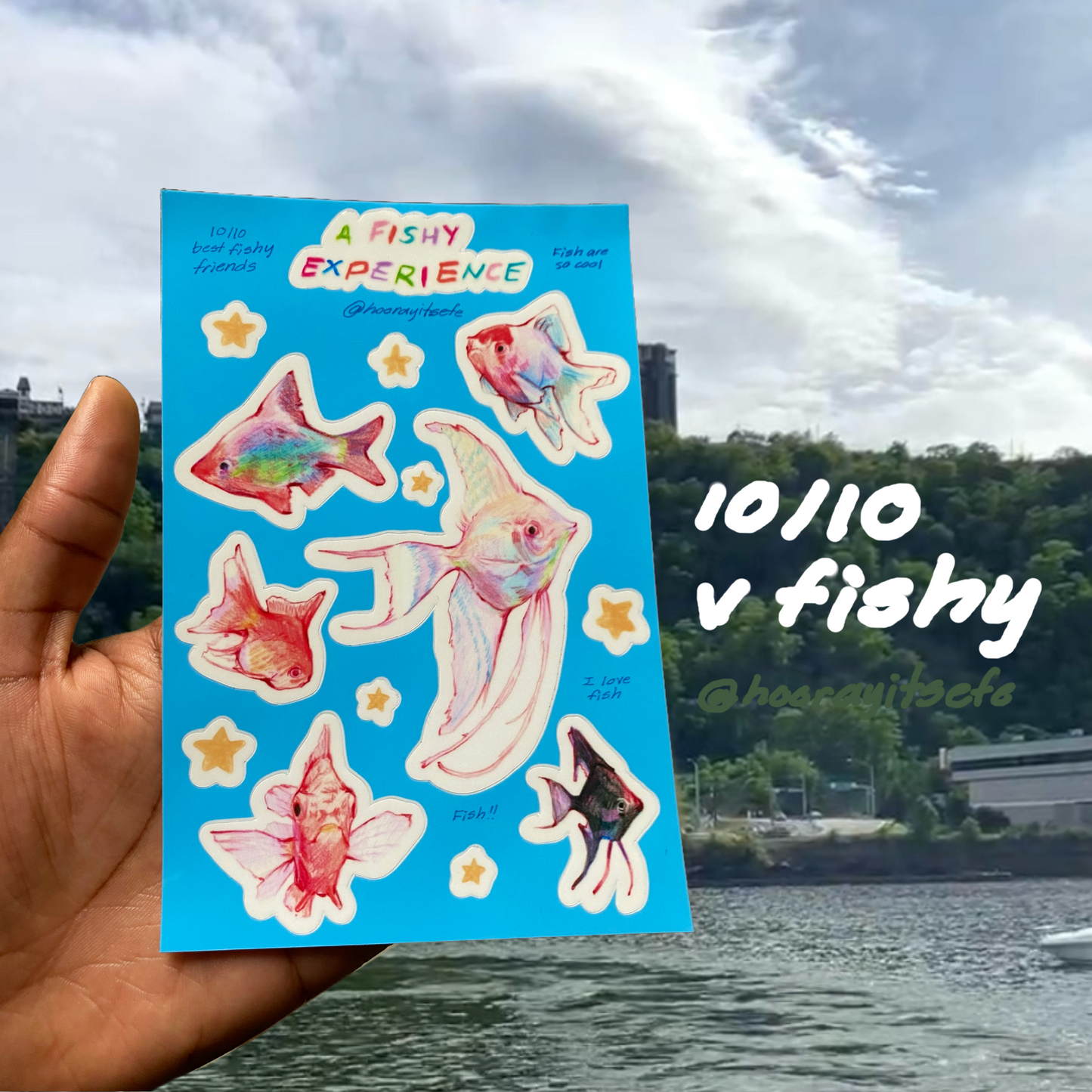 “A Fishy Experience” Vinyl Sticker Sheet