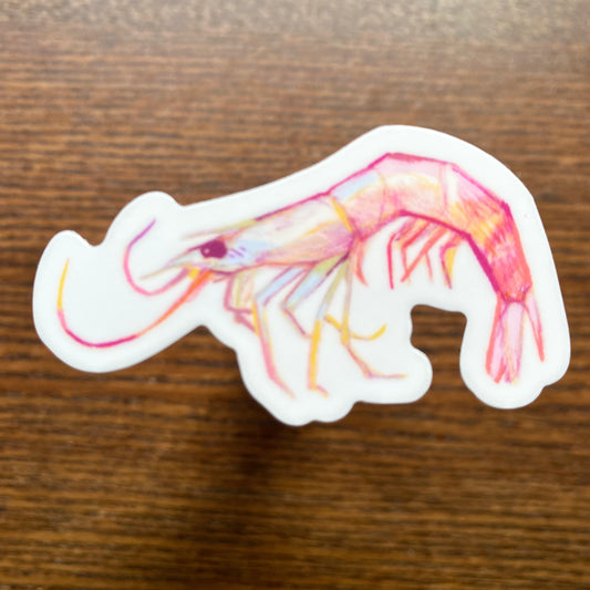 “SHRIMP!” Vinyl Sticker