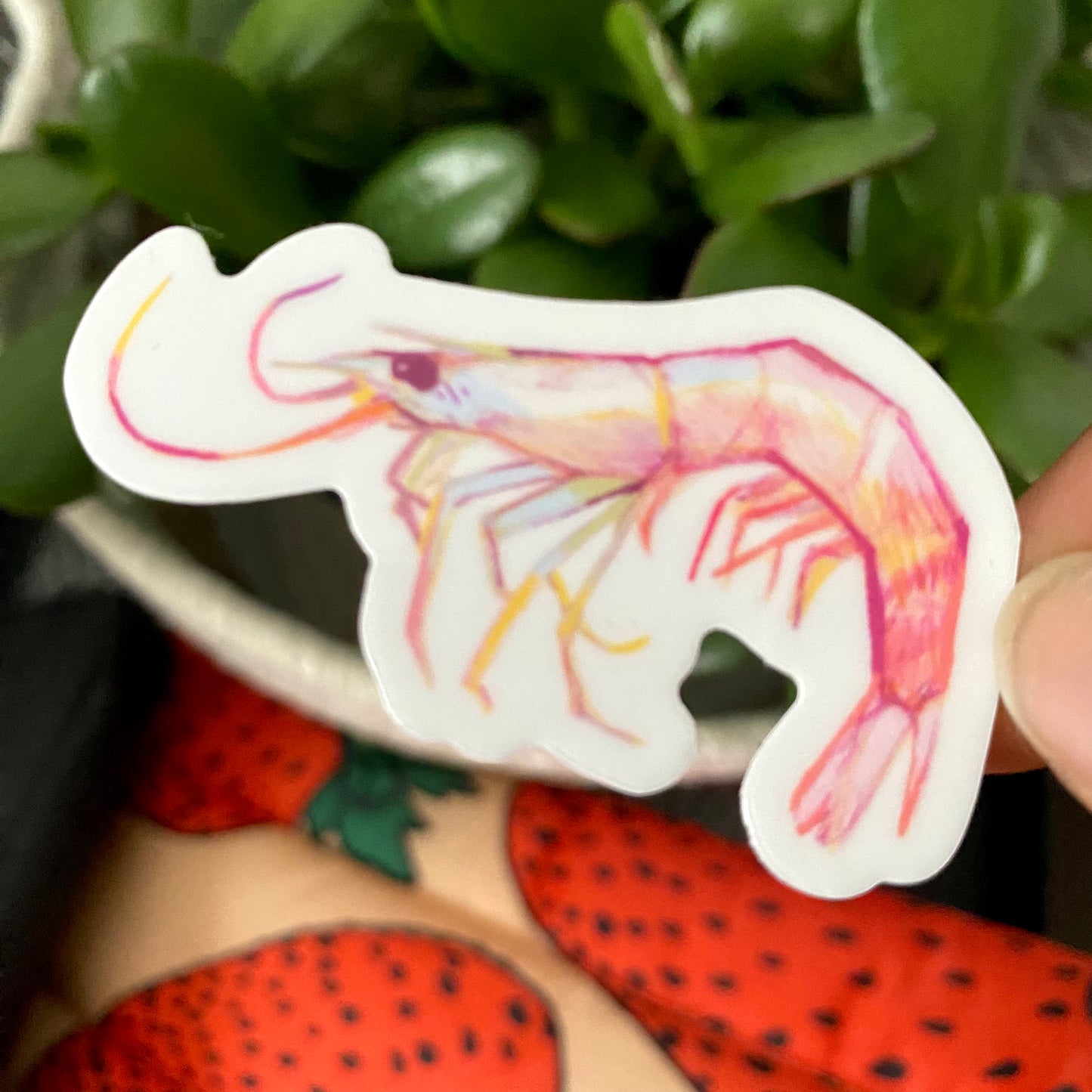 “SHRIMP!” Vinyl Sticker