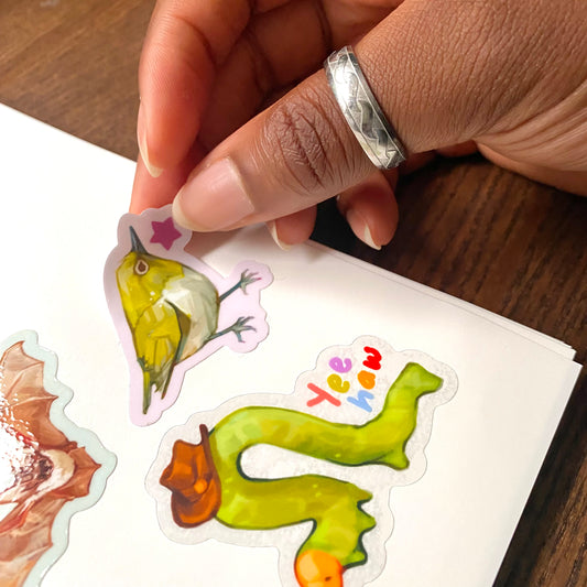 Resuable Sticker Book